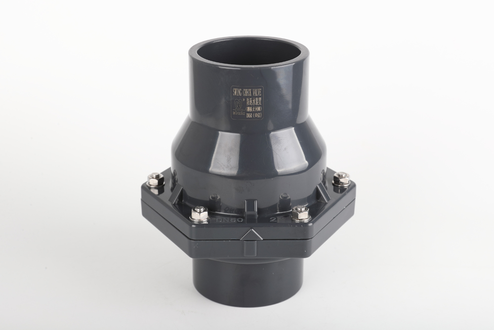 沙湖原种场翻板式止回阀