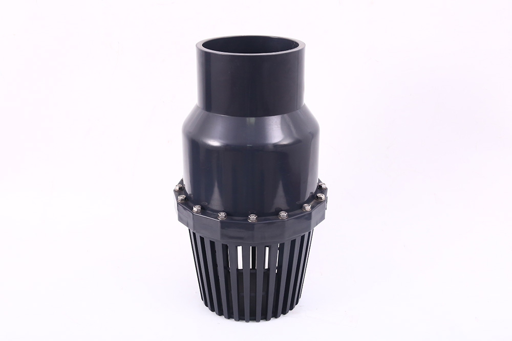 沙湖原种场翻板式底阀