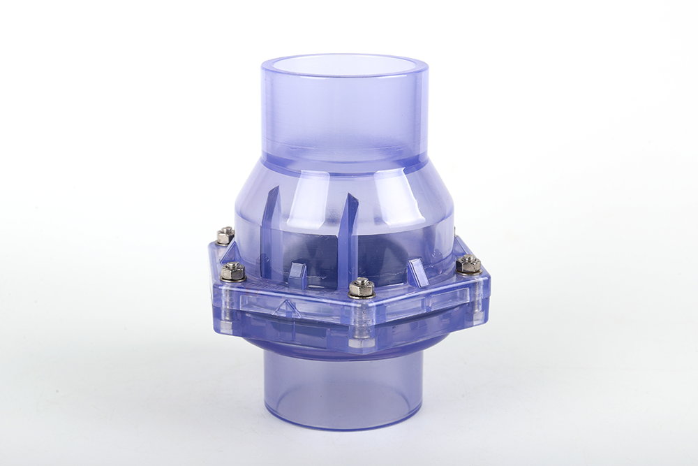 沙湖原种场透明翻板式止回阀